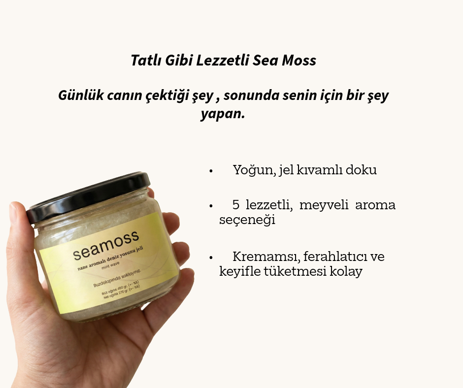 Seamoss Nane Aromalı Deniz Yosunu Jeli