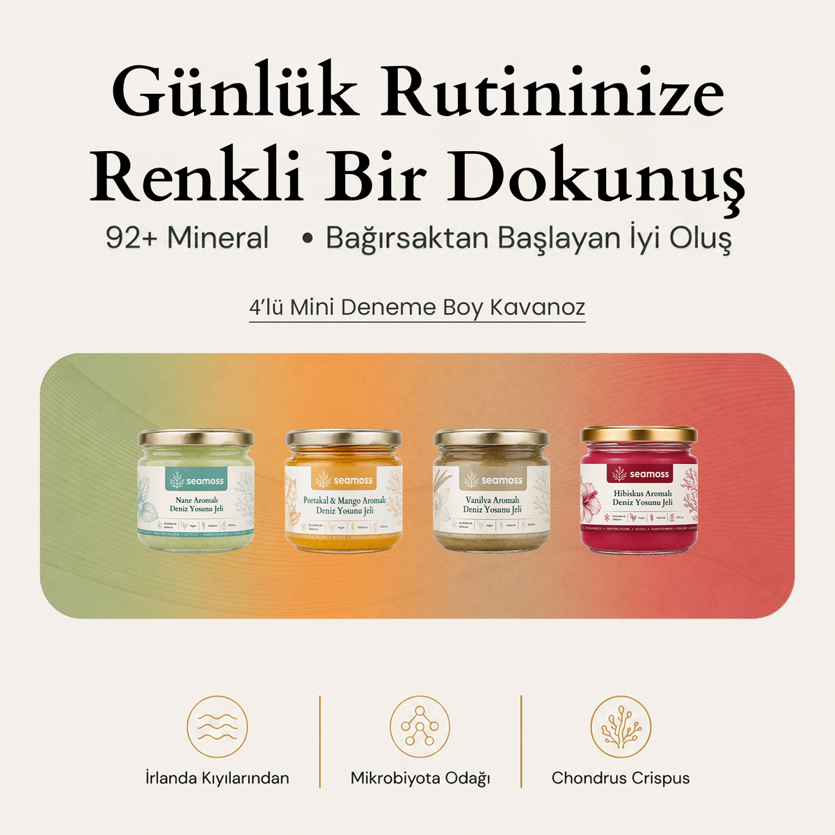 Sea Moss Aromalı Deniz Yosunu Jeli 4'lü Deneme Kiti