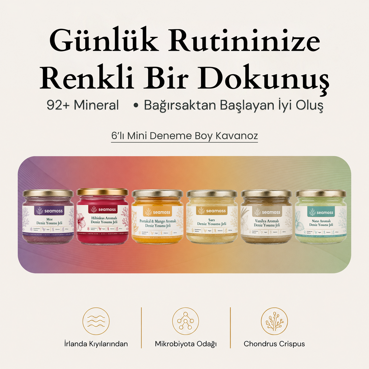 Sea Moss Deniz Yosunu Jeli 6'li Deneme Kiti (Tüm Çeşitler)
