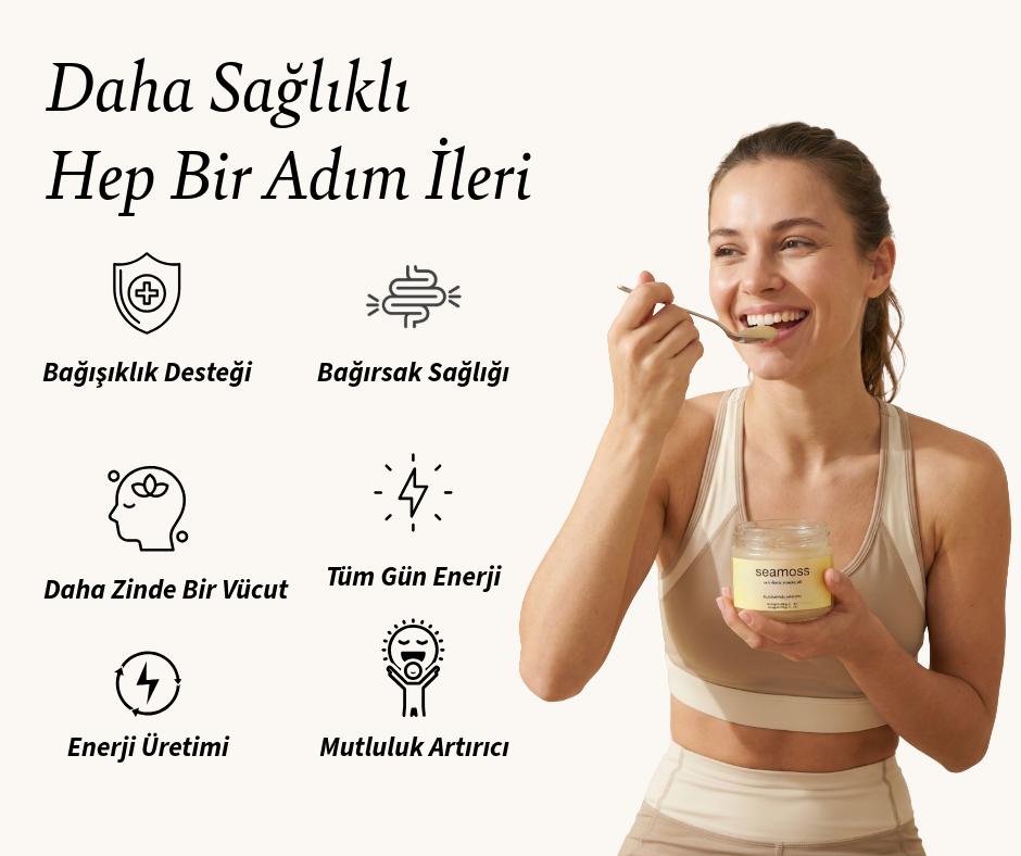 Seamoss Vanilya Aromalı Deniz Yosunu Jeli Altılı Paket