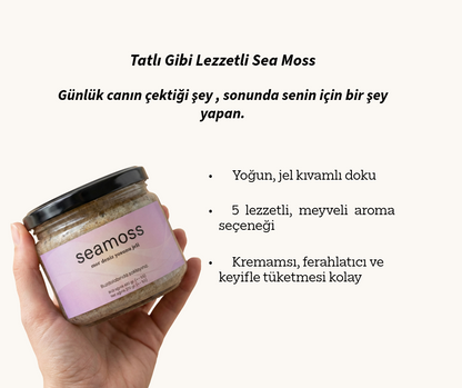 Seamoss Mor Deniz Yosunu Jeli