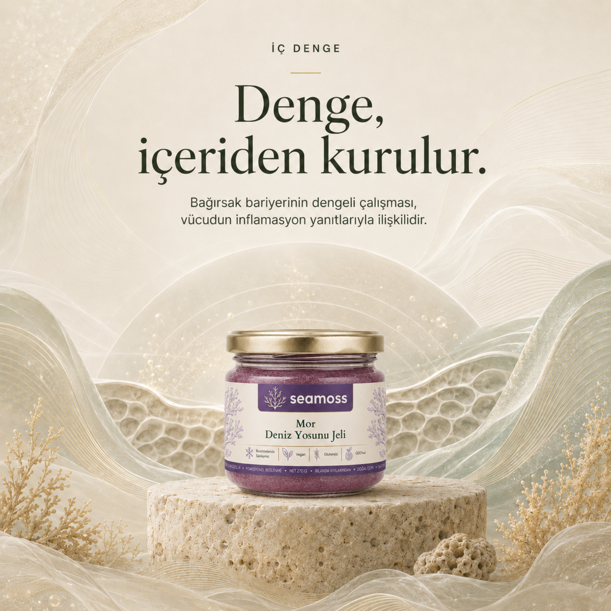 Sea Moss Mor Deniz Yosunu Jeli