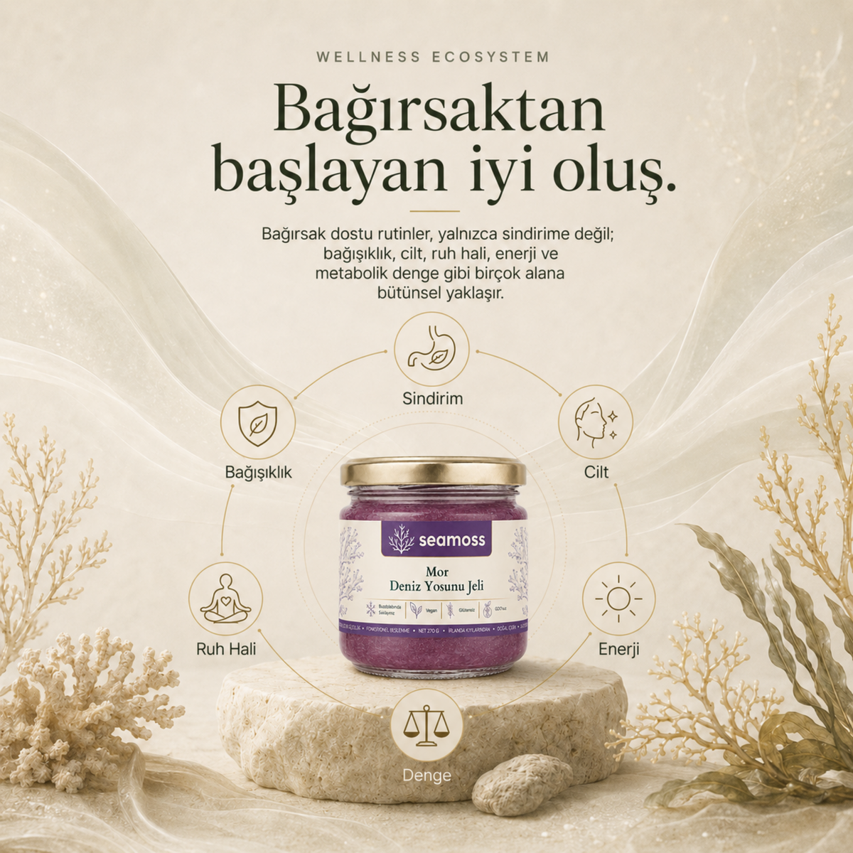 Sea Moss Mor Deniz Yosunu Jeli