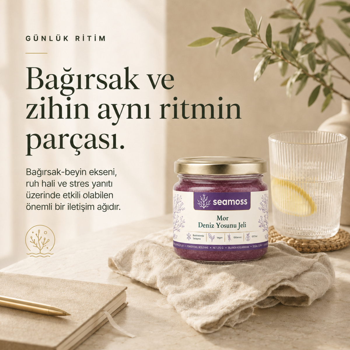 Sea Moss Mor Deniz Yosunu Jeli