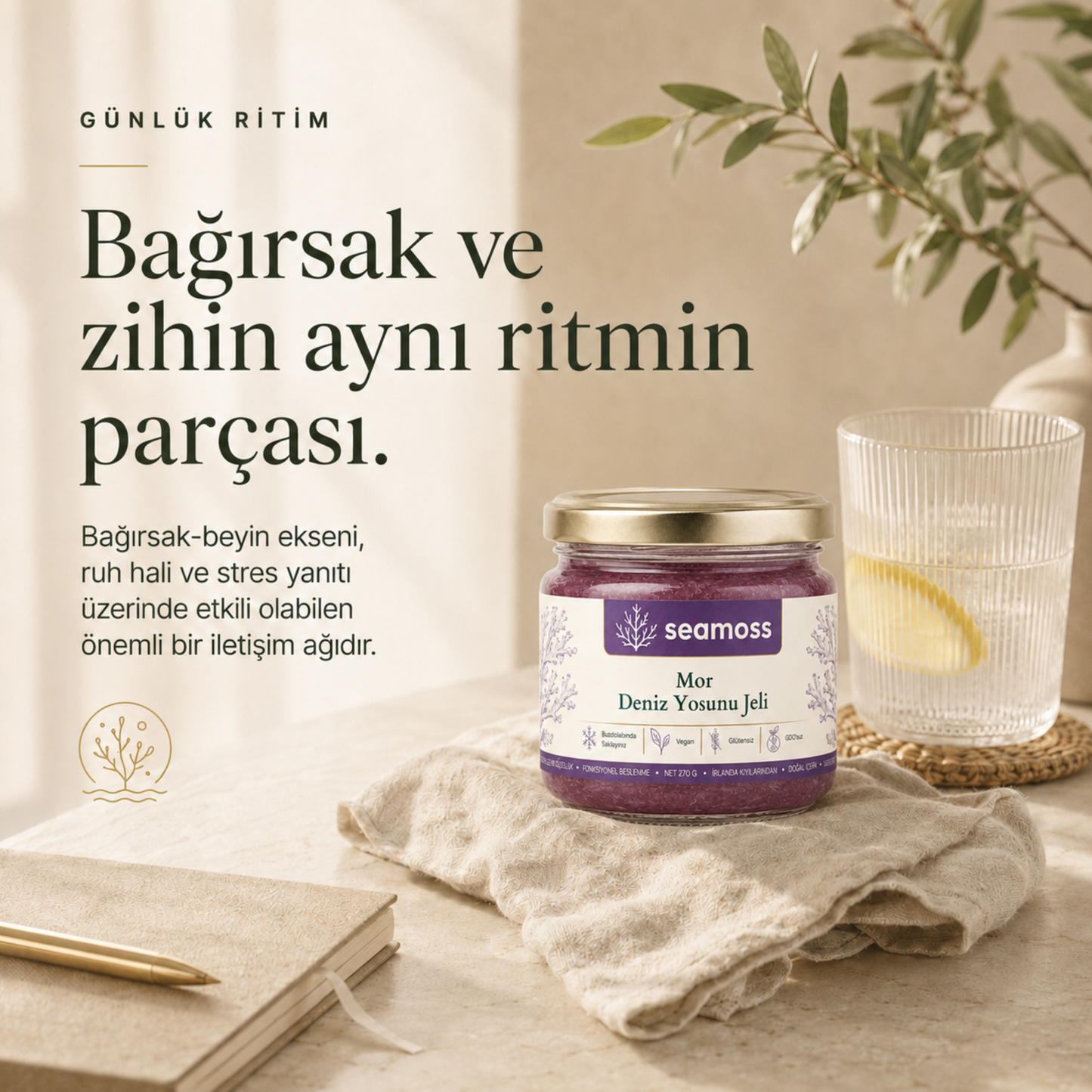 Bağırsak ve zihin dengesi temalı yaşam tarzı görseli, Mor Deniz Yosunu Jeli