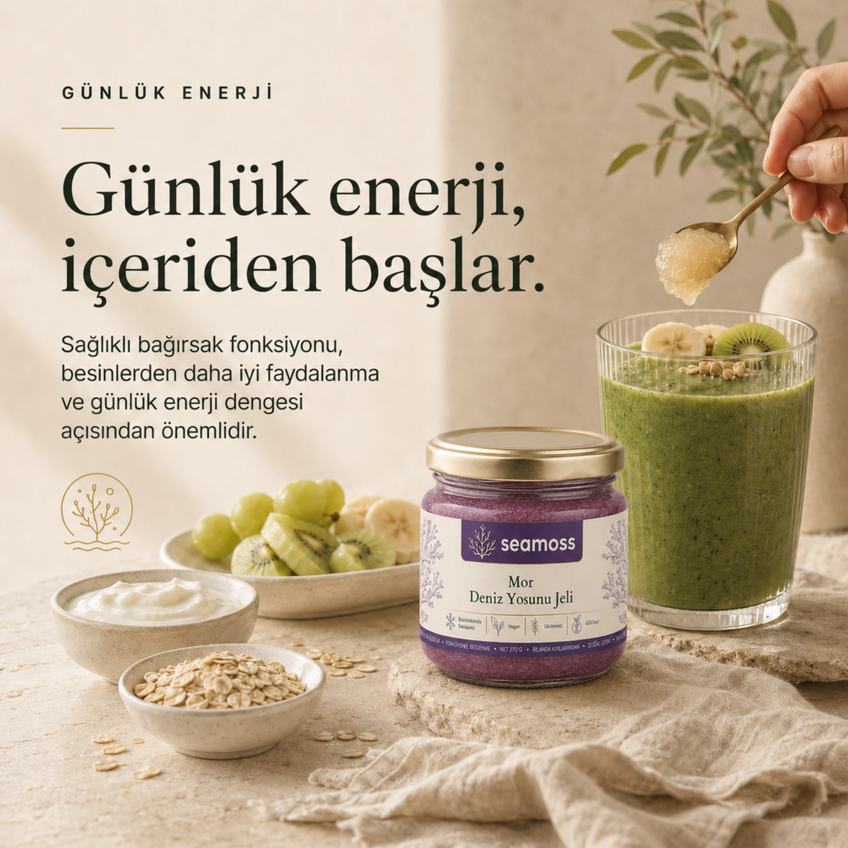 Sea Moss Mor Deniz Yosunu Jeli