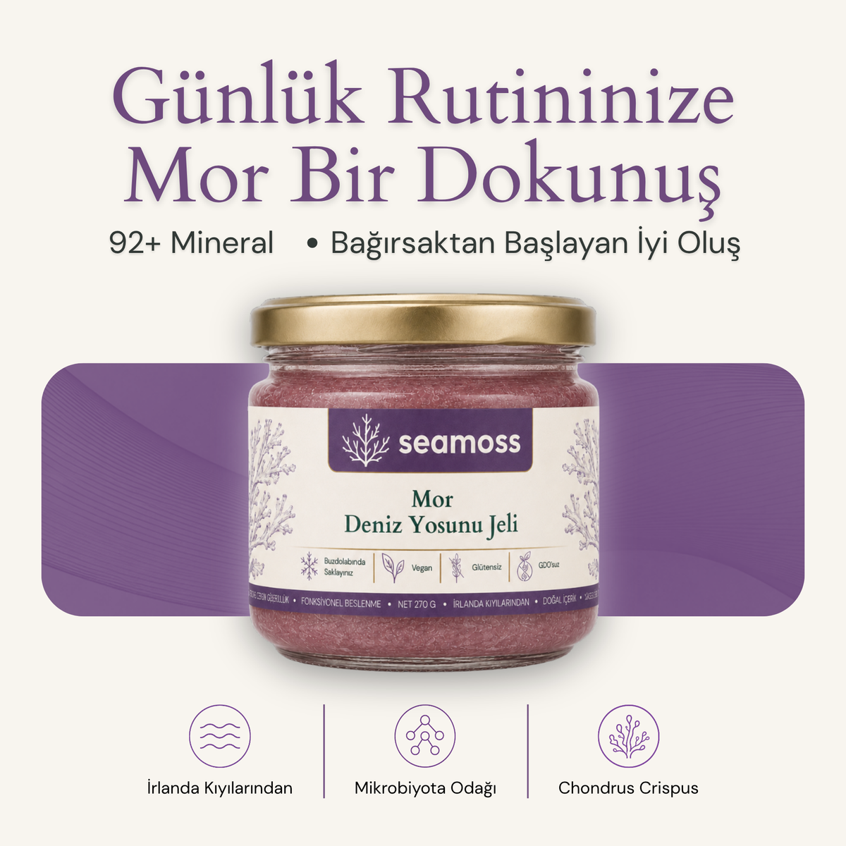 Sea Moss Mor Deniz Yosunu Jeli