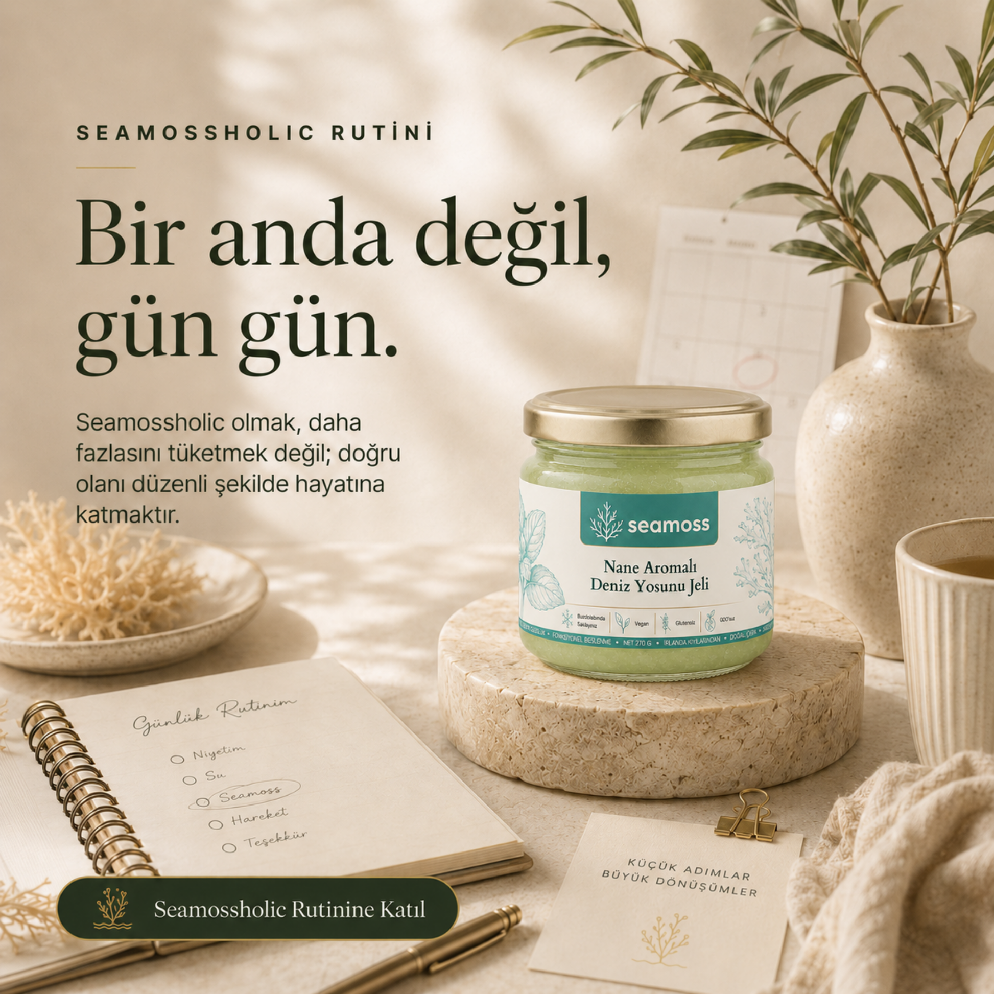 Seamossholic günlük rutin kartı ve Nane Aromalı Deniz Yosunu Jeli kavanozu masa görseli