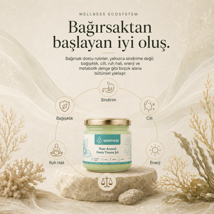 Nane Aromalı Deniz Yosunu Jeli ile bağırsaktan başlayan iyi oluş faydaları diyagramı