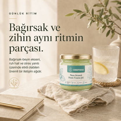 Bağırsak ve zihin dengesi temalı yaşam tarzı görseli, Nane Aromalı Deniz Yosunu Jeli