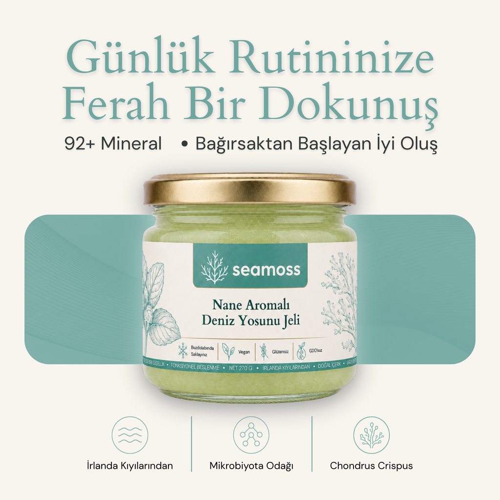 Seamoss Nane Aromalı Deniz Yosunu Jeli kavanozu — "92+ mineral, bağırsaktan başlayan iyi oluş" başlıklı kapak görseli