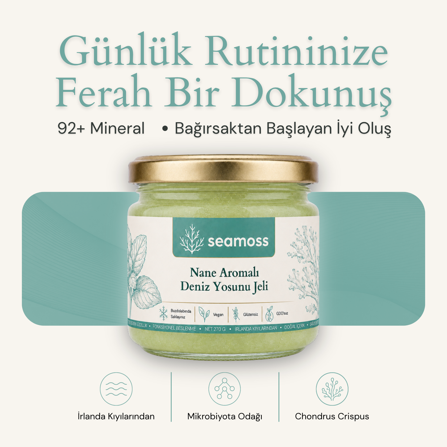 Seamoss Nane Aromalı Deniz Yosunu Jeli kavanozu — "92+ mineral, bağırsaktan başlayan iyi oluş" başlıklı kapak görseli