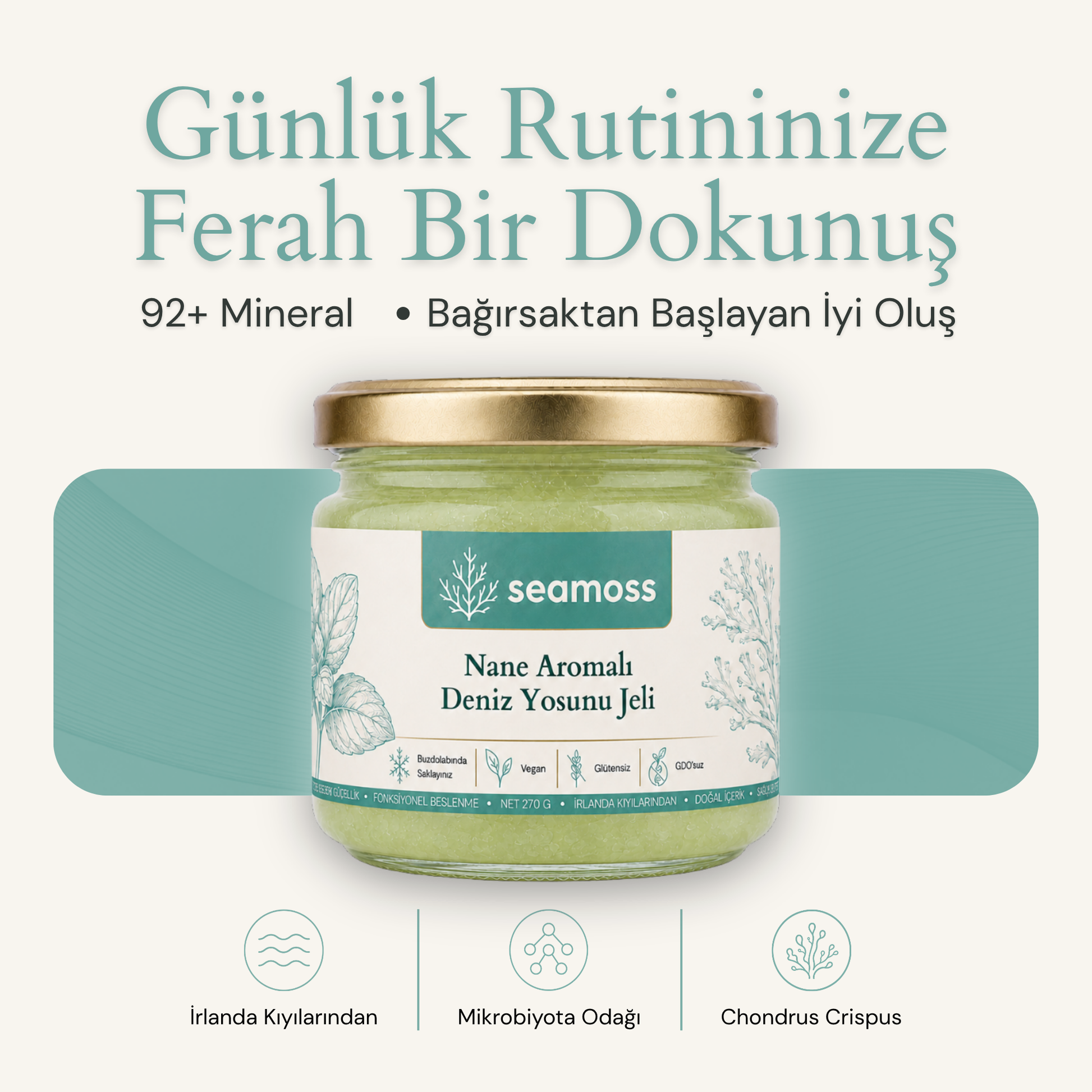 Seamoss Nane Aromalı Deniz Yosunu Jeli kavanozu — "92+ mineral, bağırsaktan başlayan iyi oluş" başlıklı kapak görseli