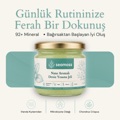 Seamoss Nane Aromalı Deniz Yosunu Jeli kavanozu — "92+ mineral, bağırsaktan başlayan iyi oluş" başlıklı kapak görseli