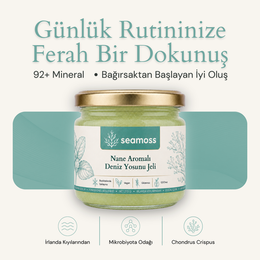 Seamoss Nane Aromalı Deniz Yosunu Jeli kavanozu — "92+ mineral, bağırsaktan başlayan iyi oluş" başlıklı kapak görseli