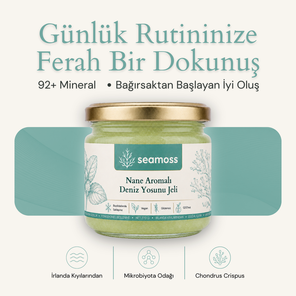 Seamoss Nane Aromalı Deniz Yosunu Jeli kavanozu — "92+ mineral, bağırsaktan başlayan iyi oluş" başlıklı kapak görseli