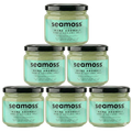 Seamoss Nane Aromalı Deniz Yosunu Jeli Altılı Paket