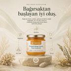 Portakal & Mango Aromalı Deniz Yosunu Jeli ile bağırsaktan başlayan iyi oluş faydaları diyagramı