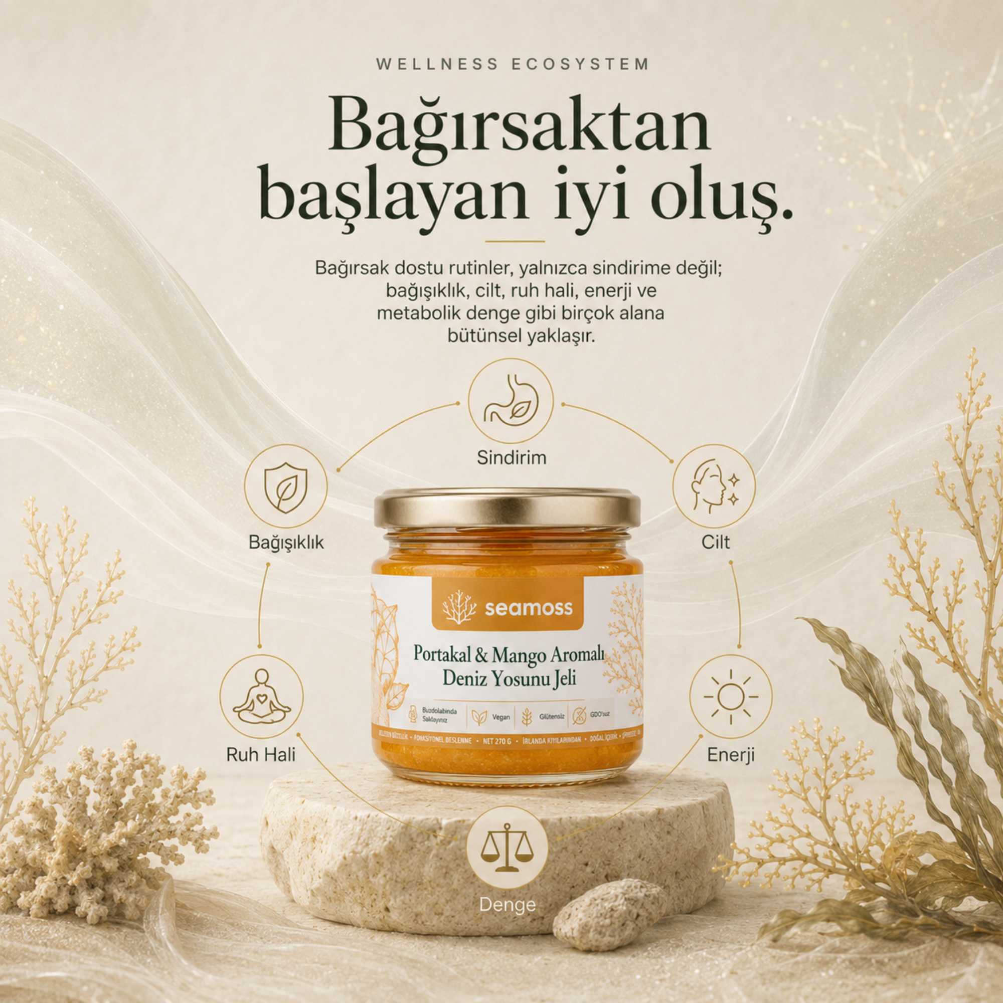 Portakal & Mango Aromalı Deniz Yosunu Jeli ile bağırsaktan başlayan iyi oluş faydaları diyagramı
