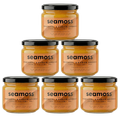 Seamoss Portakal & Mango Aromalı Deniz Yosunu Jeli Altılı Paket