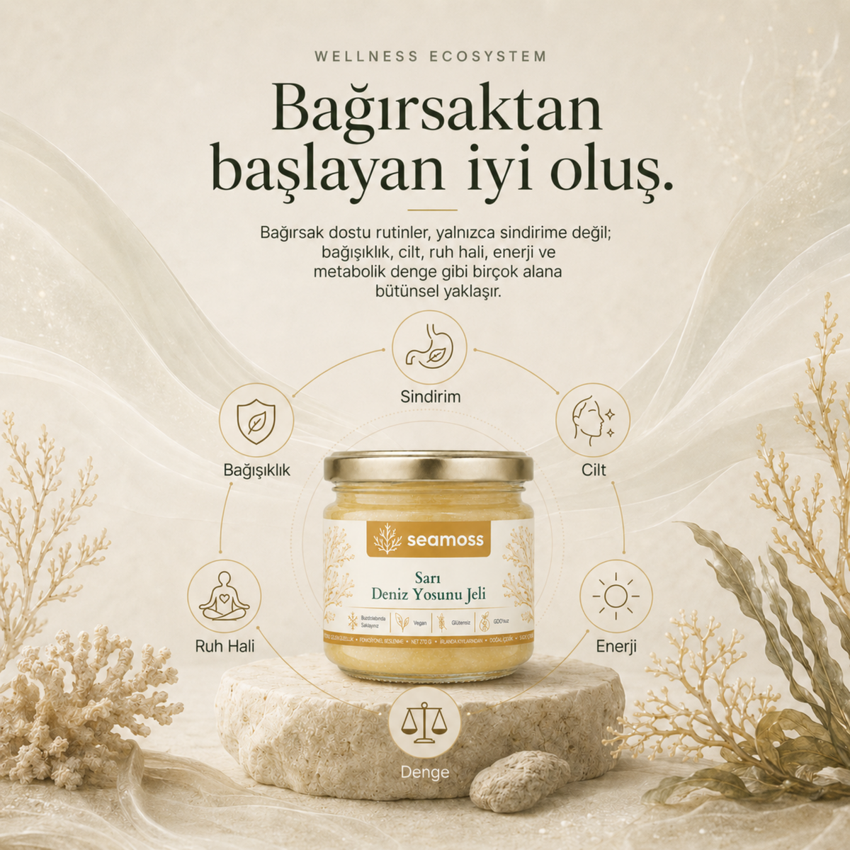 Sea Moss Sarı Deniz Yosunu Jeli