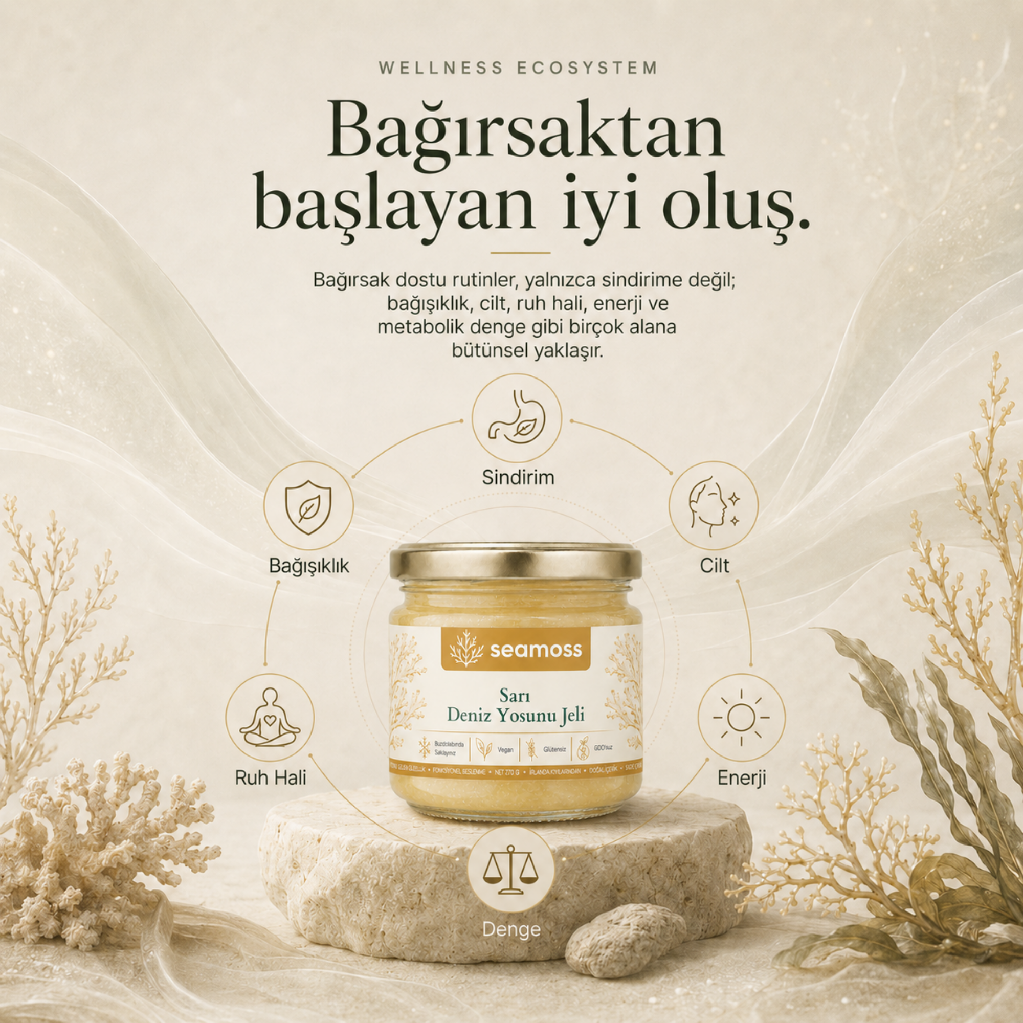 Sarı Deniz Yosunu Jeli ile bağırsaktan başlayan iyi oluş faydaları diyagramı