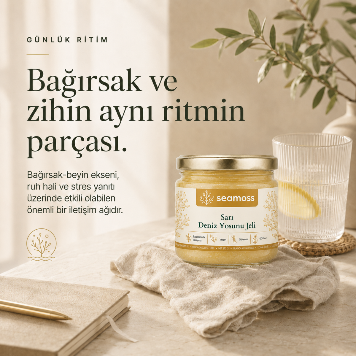 Sea Moss Sarı Deniz Yosunu Jeli