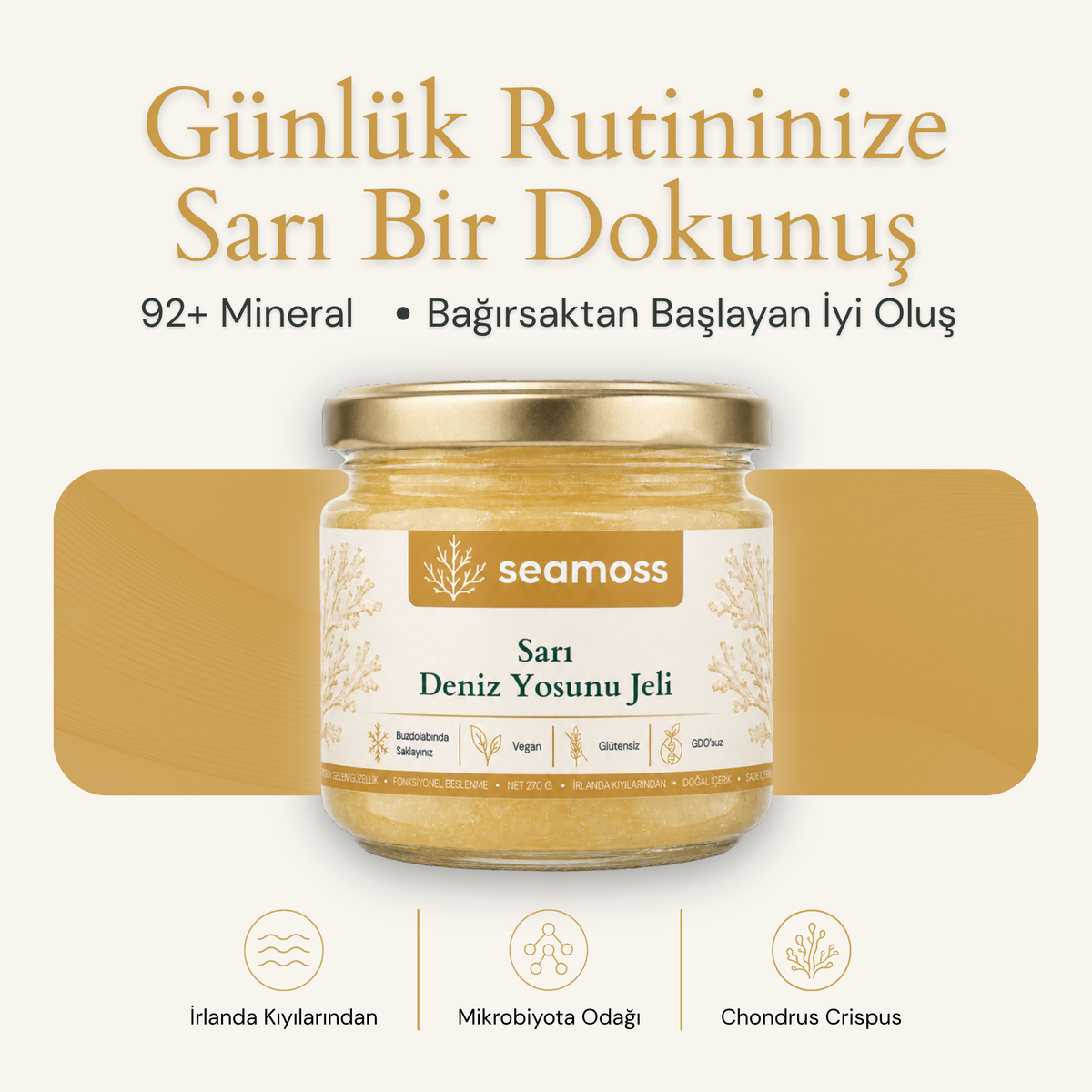 Sea Moss Sarı Deniz Yosunu Jeli