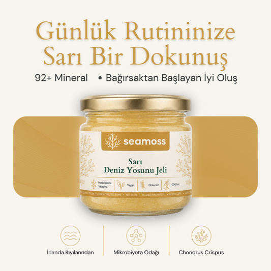 Seamoss Sarı Deniz Yosunu Jeli kavanozu — "92+ mineral, bağırsaktan başlayan iyi oluş" başlıklı kapak görseli
