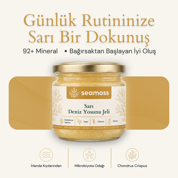 Seamoss Sarı Deniz Yosunu Jeli kavanozu — "92+ mineral, bağırsaktan başlayan iyi oluş" başlıklı kapak görseli