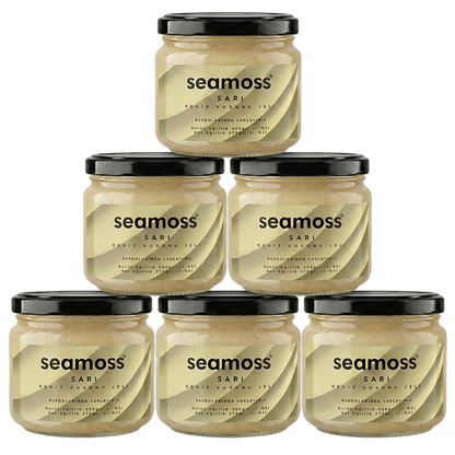 Seamoss Sarı Deniz Yosunu Jeli Altılı Paket