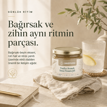 Bağırsak ve zihin dengesi temalı yaşam tarzı görseli, Vanilya Aromalı Deniz Yosunu Jeli