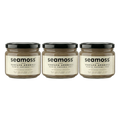 Seamoss Vanilya Aromalı Deniz Yosunu Jeli Üçlü Paket